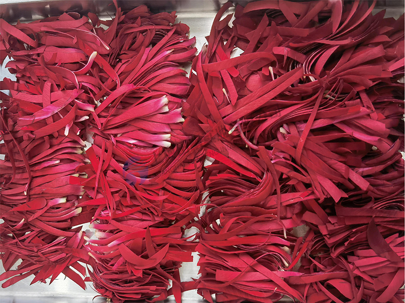 鮮花凍干：鮮花冷凍干燥機應(yīng)用玫瑰凍干案例