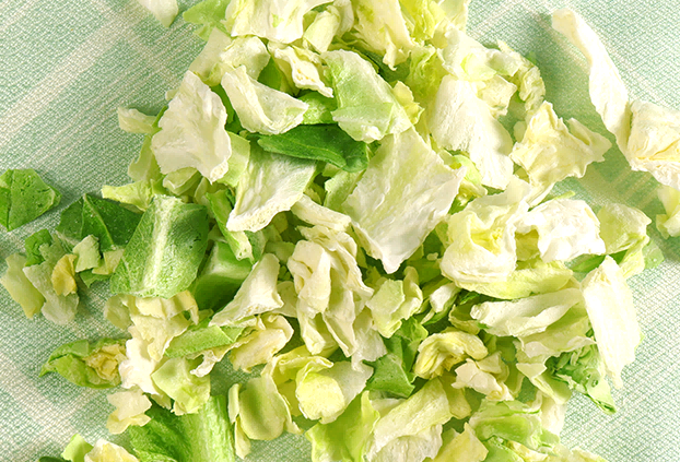 卷心菜凍干：蔬菜冷凍干燥機應(yīng)用于卷心菜凍干應(yīng)用案例