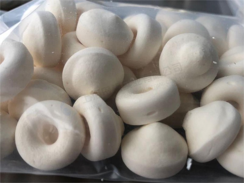 酸奶塊凍干：奶制品真空冷凍干燥機(jī)原理和凍干優(yōu)勢