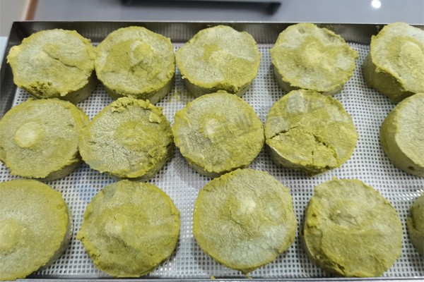 蔬菜餅凍干:蔬菜餅凍干技術(shù)和食品凍干機(jī)應(yīng)用