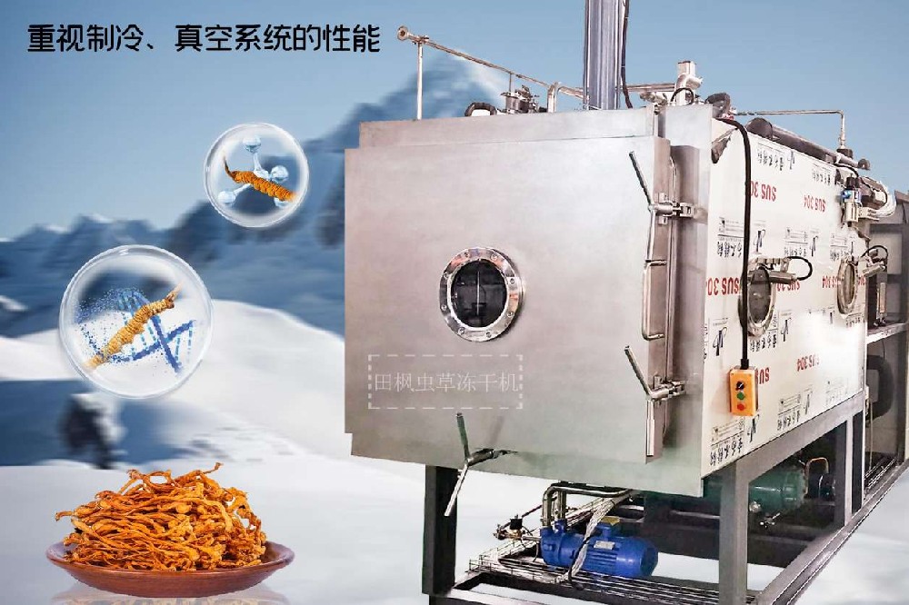 制藥凍干機(jī)的凍干技術(shù)：冬蟲(chóng)夏草的新鮮與活力