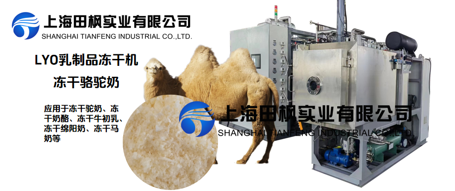 凍干機留住駝奶的原汁原味